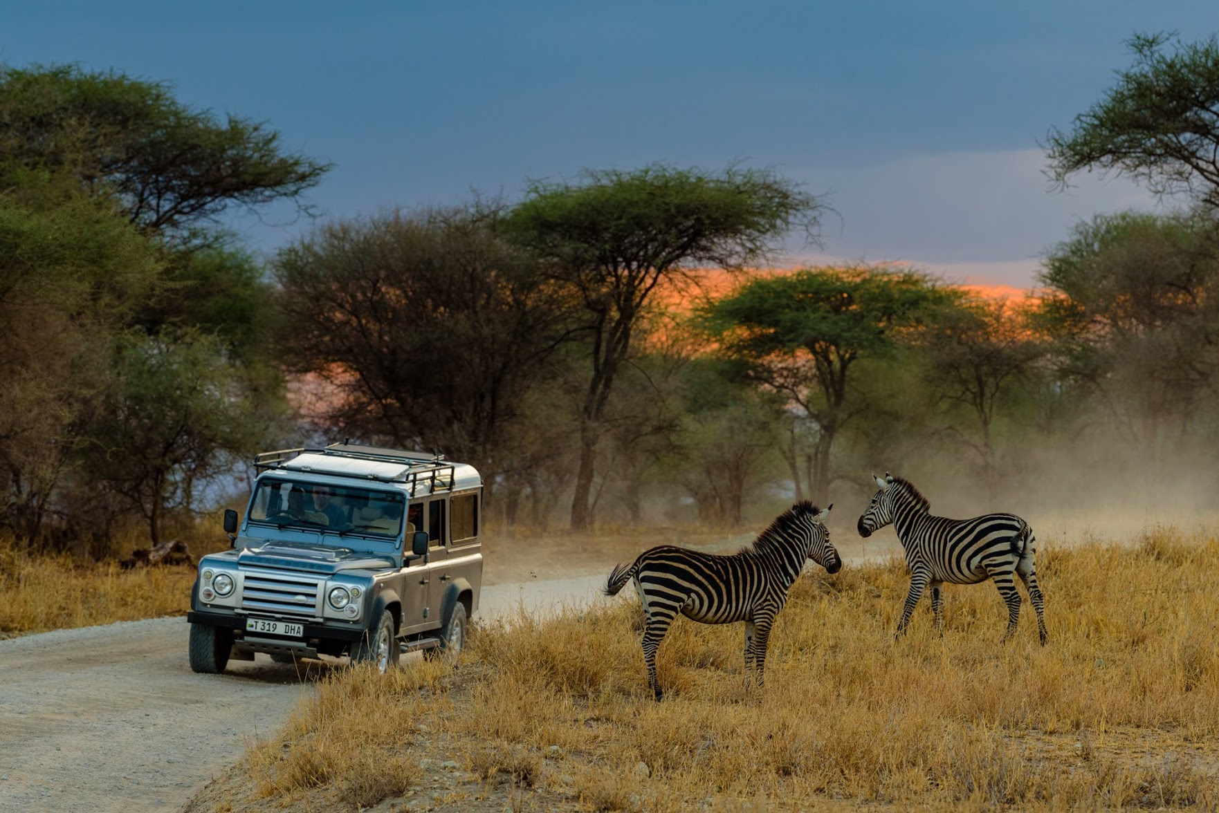 laura zanzibar safari